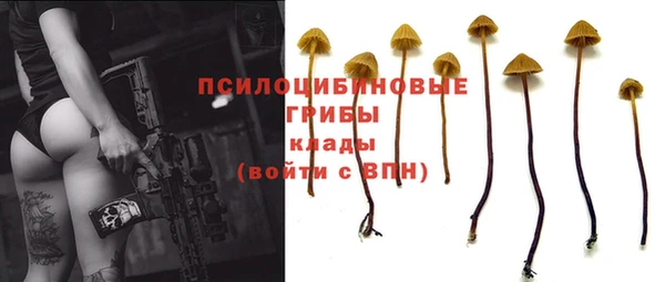 прущие крисы Алексеевка