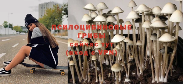 прущие крисы Алексеевка