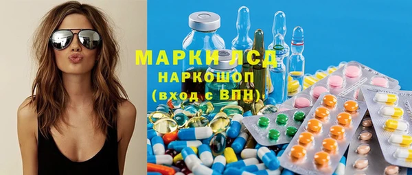 индика Аркадак