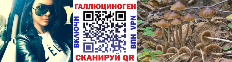Галлюциногенные грибы мухоморы  mega зеркало  Куровское 